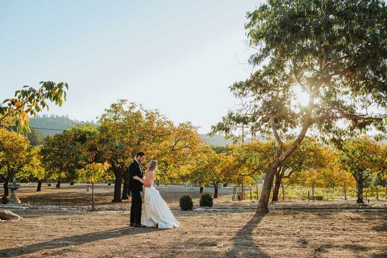 bride and groom at sunset in wine country