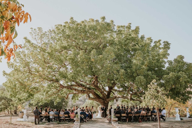 wedding ceremony under large tree