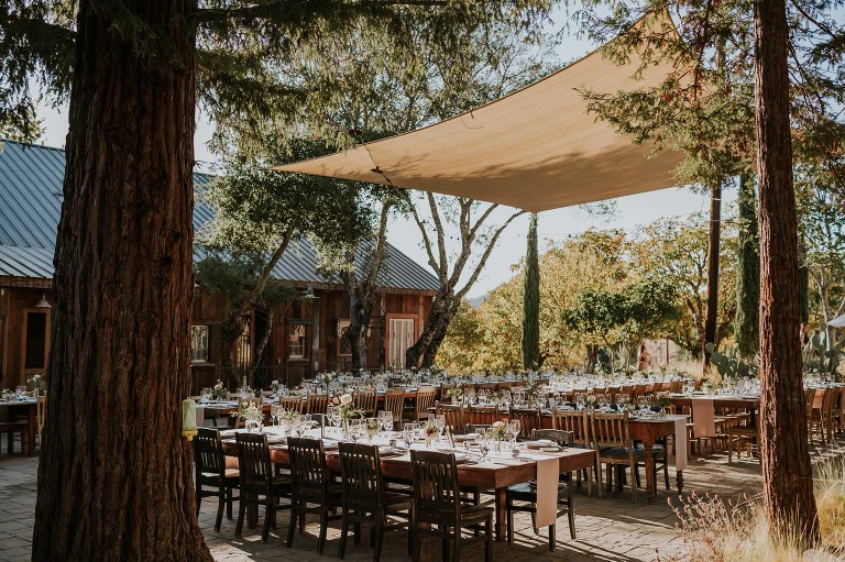 reception space under redwood trees in northern california wedding triple s ranch