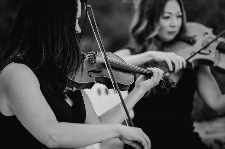A string quartet plays during wedding ceremony